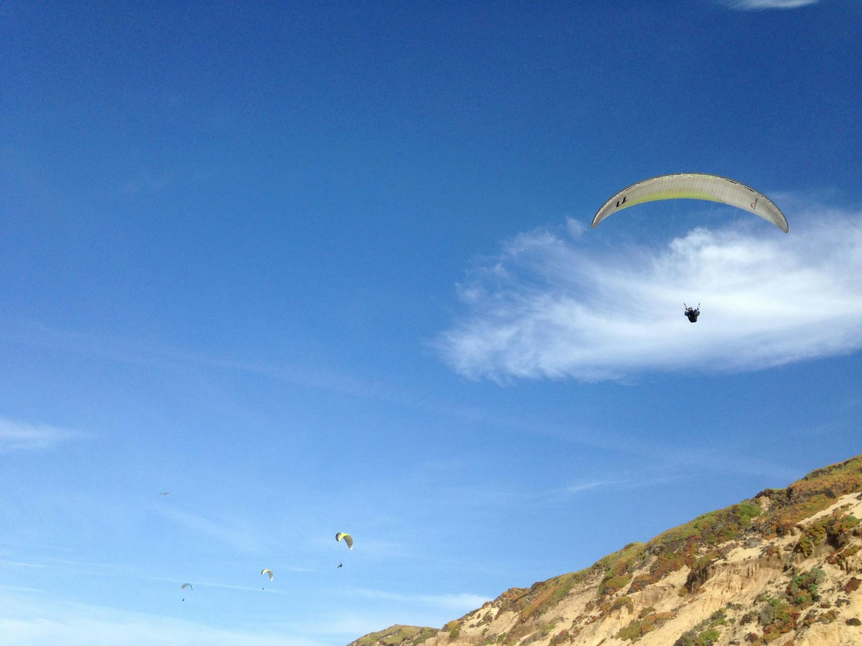PGA Tour Returns to Torrey Pines: Farmers Insurance Open Delivers Drama on the Cliffs