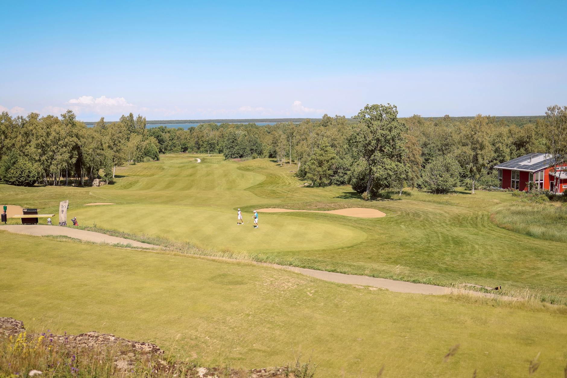 Ryder Cup 2026: Building Momentum for Bethpage Black as Team Dynamics Take Center Stage