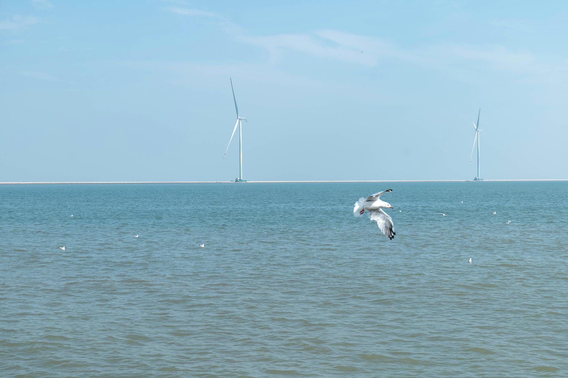 The Mind's Eye: Mastering Mental Resilience When Every Shot Counts