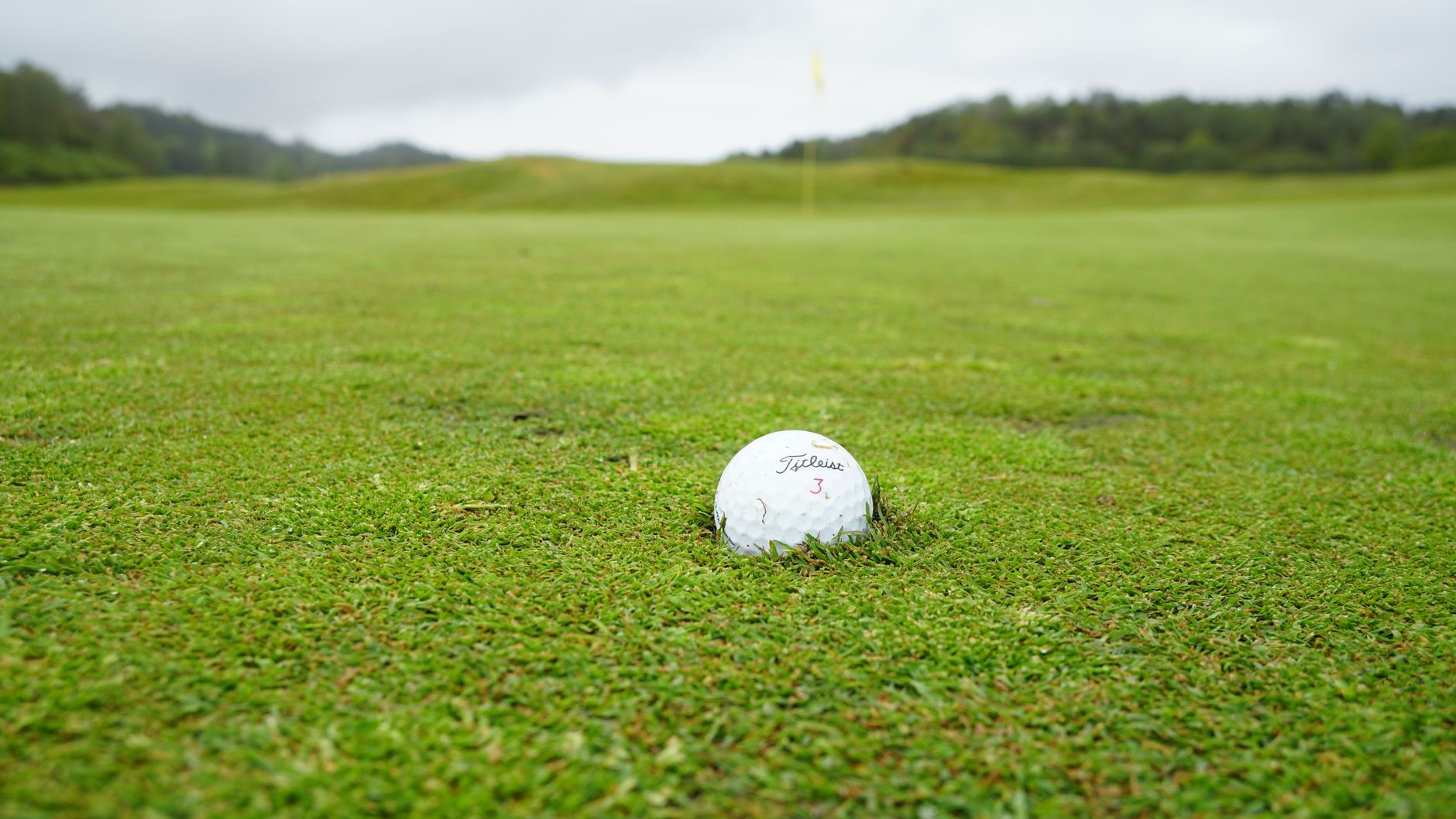 LPGA Majors 2026: Who Controls the Season?