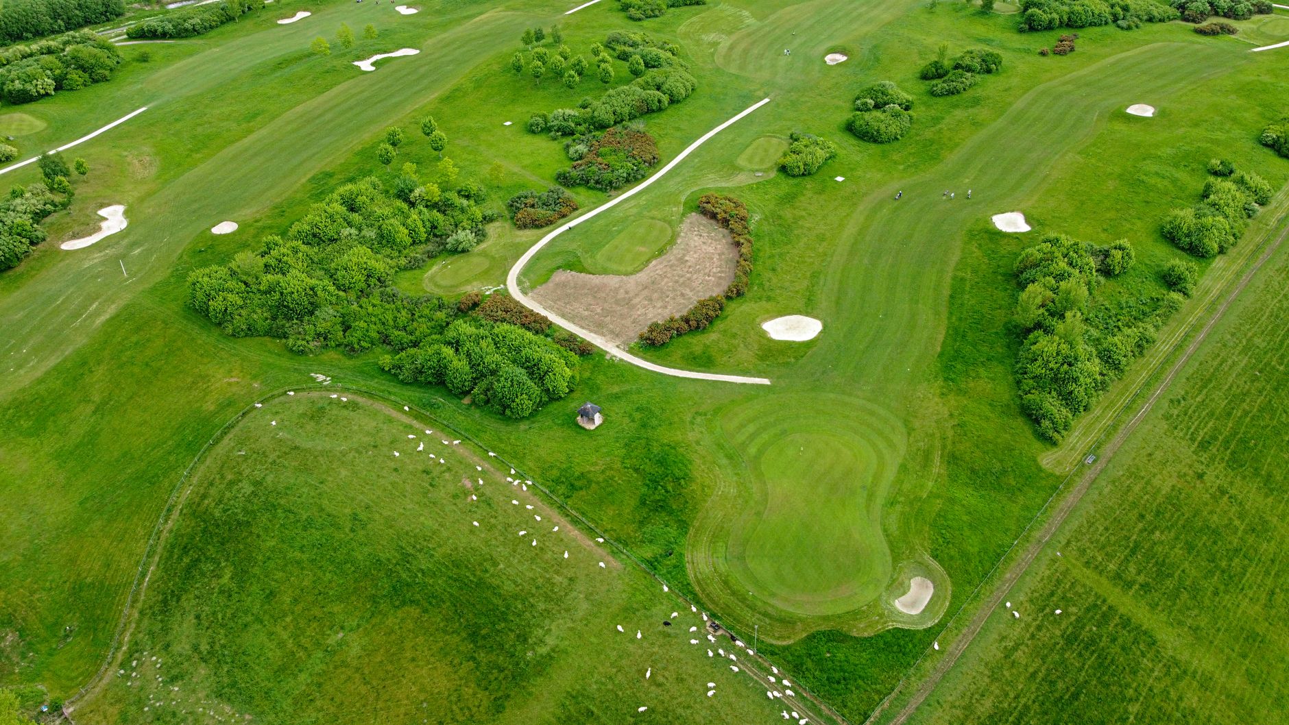 Shinnecock Hills: Wind, Rough & Zero Mercy
