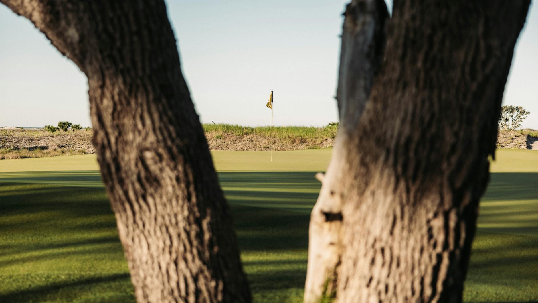 Golf imagery