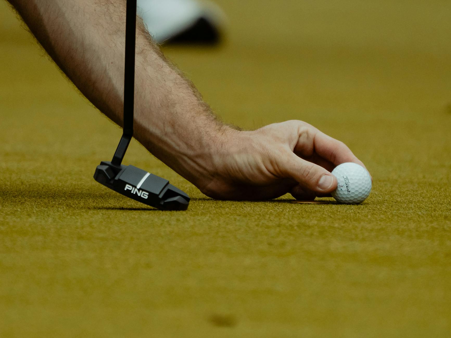 Golf imagery