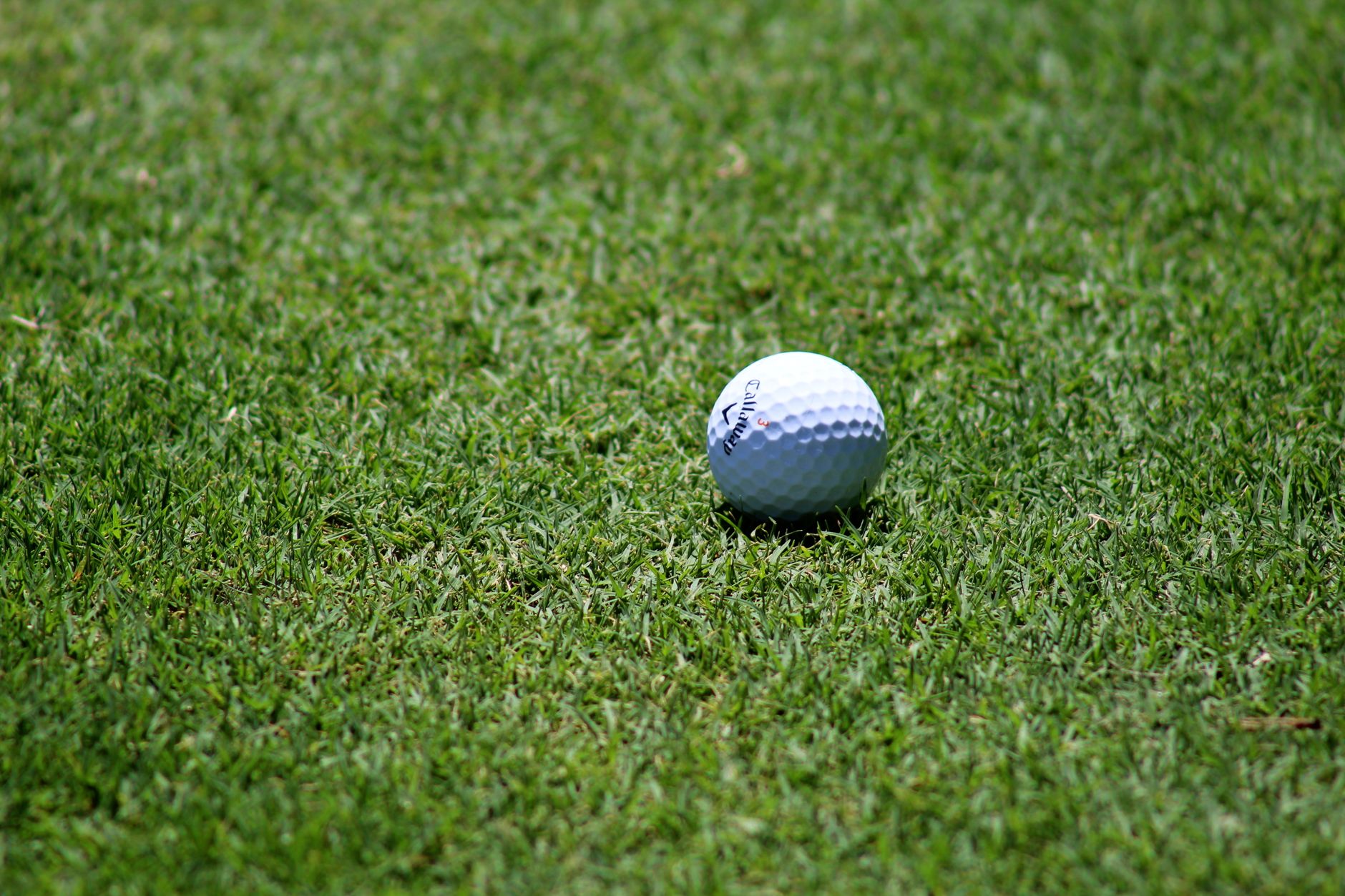 Golf imagery