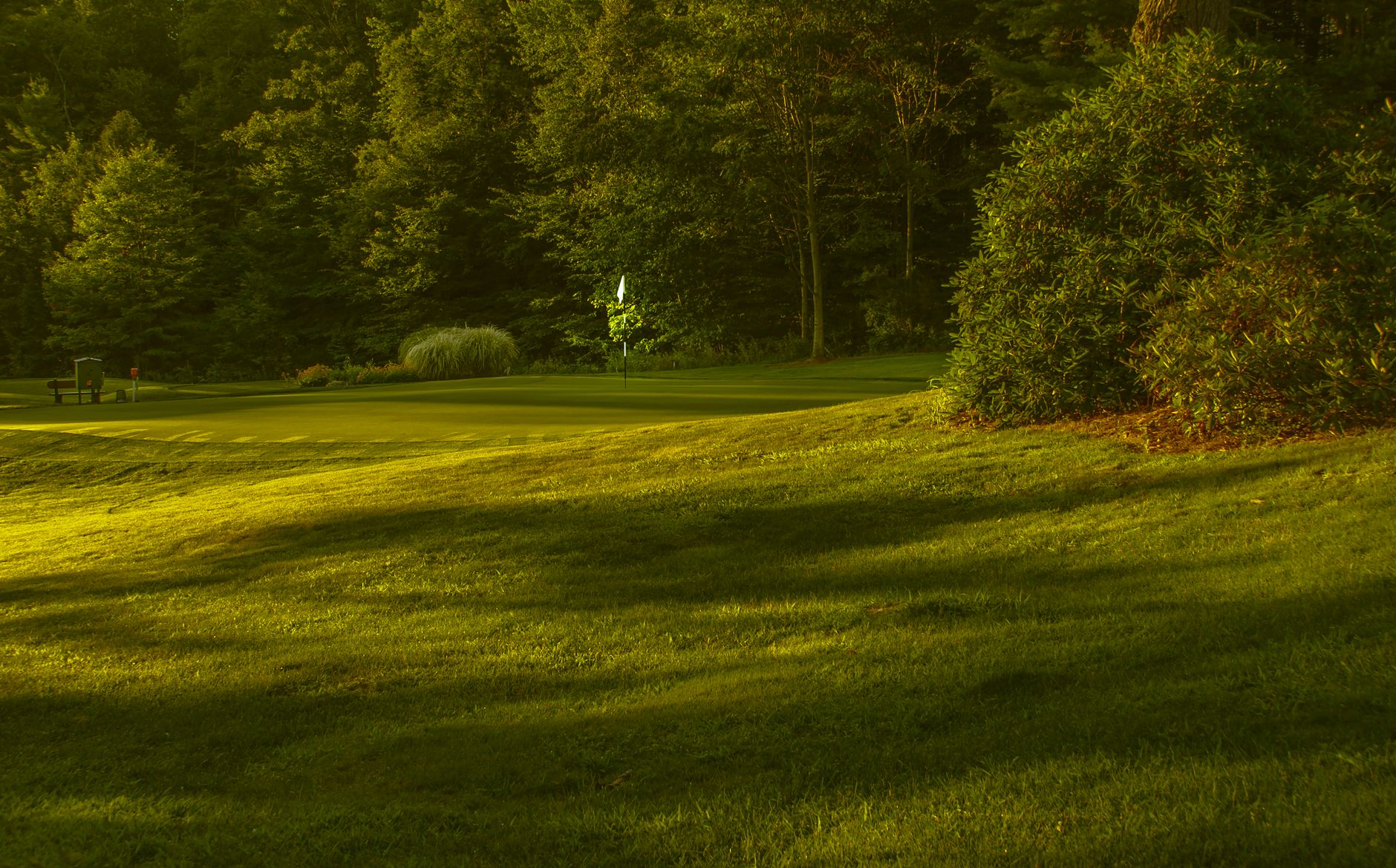 Golf imagery