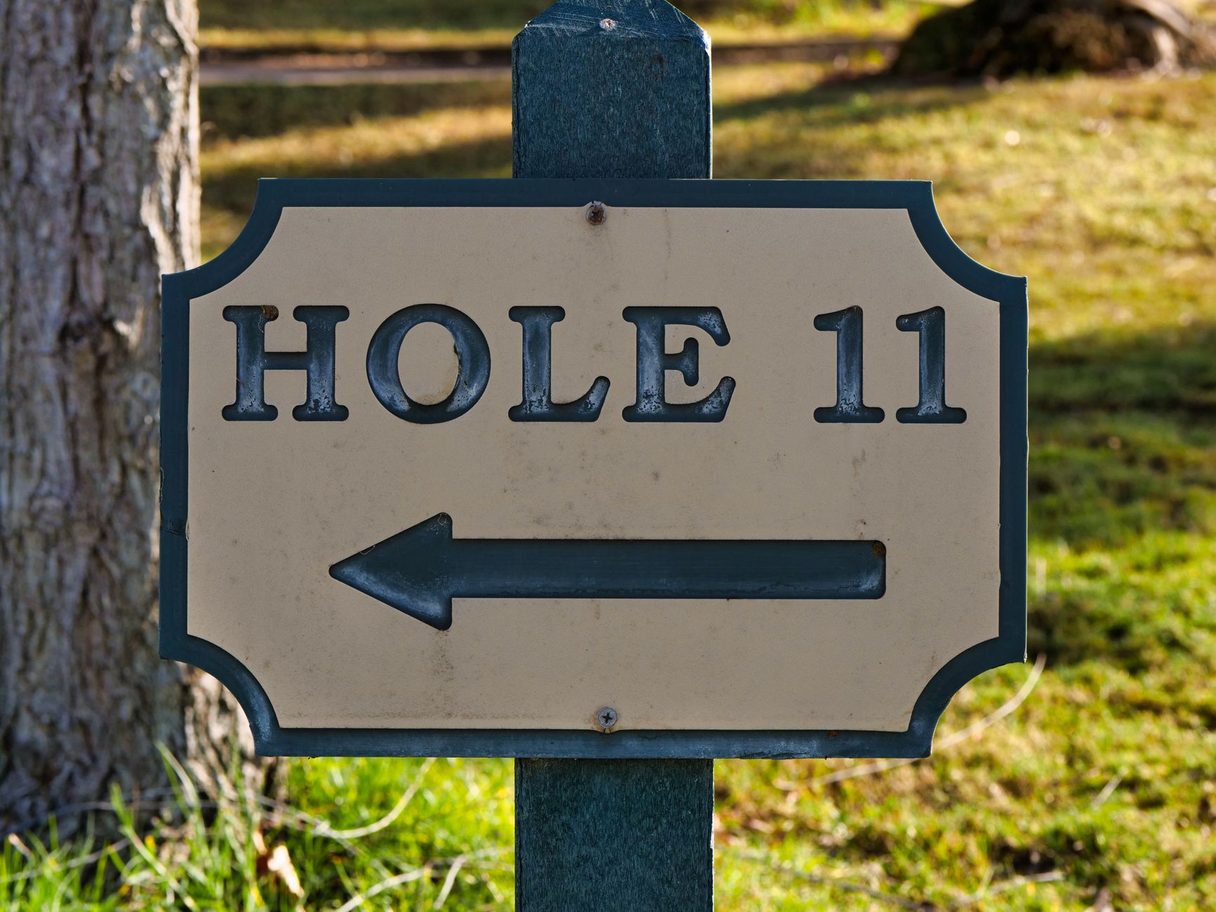 Golf imagery