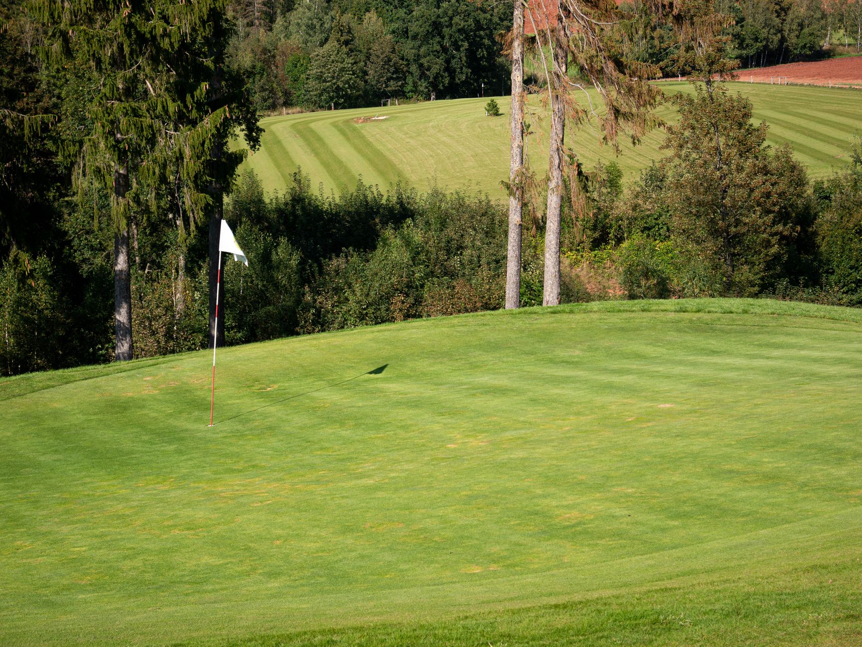 Golf imagery